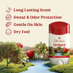 Old Spice Dry Feel Antiperspirant Deodorant - Men, Long Lasting Freshness, 24/7 Sweat & Odor Protection, Gentle on Skin - Skin Conditioners, Orchard - Apple & Hops Water Scent, 2.6 Ounce (Pack of 12)